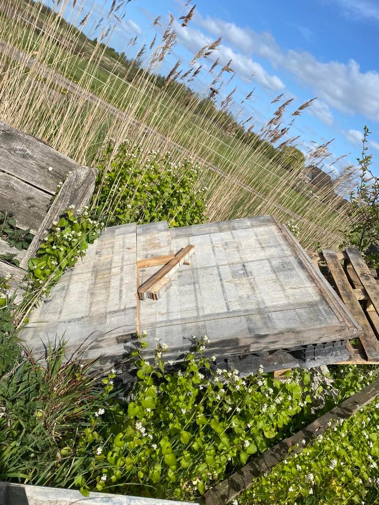 3 hele massive grenen steenschotten, Doe-het-zelf en Verbouw, Hout en Planken, Minder dan 25 mm, Ophalen of Verzenden, Zo goed als nieuw