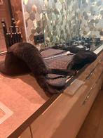 Nieuwe Mattes correctie zadelonderlegger trim, Ophalen of Verzenden, Nieuw