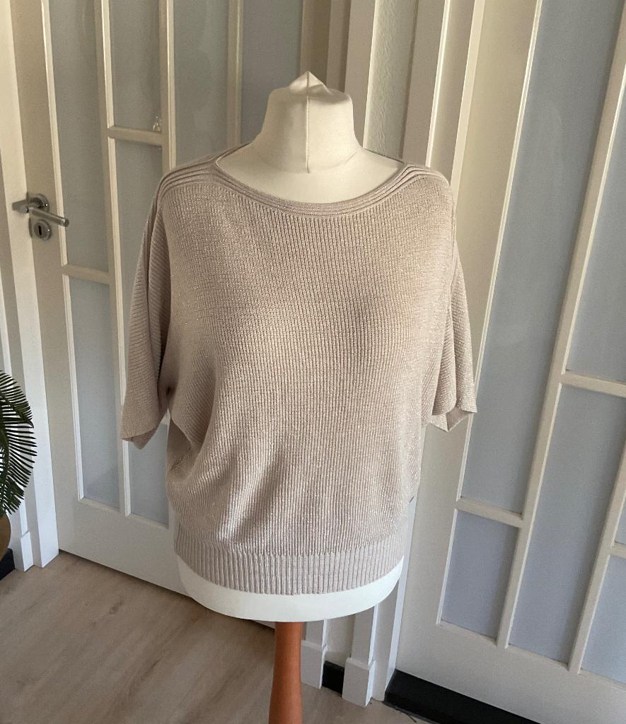 Anna van toor ANNA Top mt.xxl, Anna van Toor, Beige, Maat 46/48 (XL) of groter, Nieuw