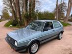 Volkswagen Golf 1.3 Manhatton, Voorwielaandrijving, 410 kg, 4 cilinders, 1272 cc