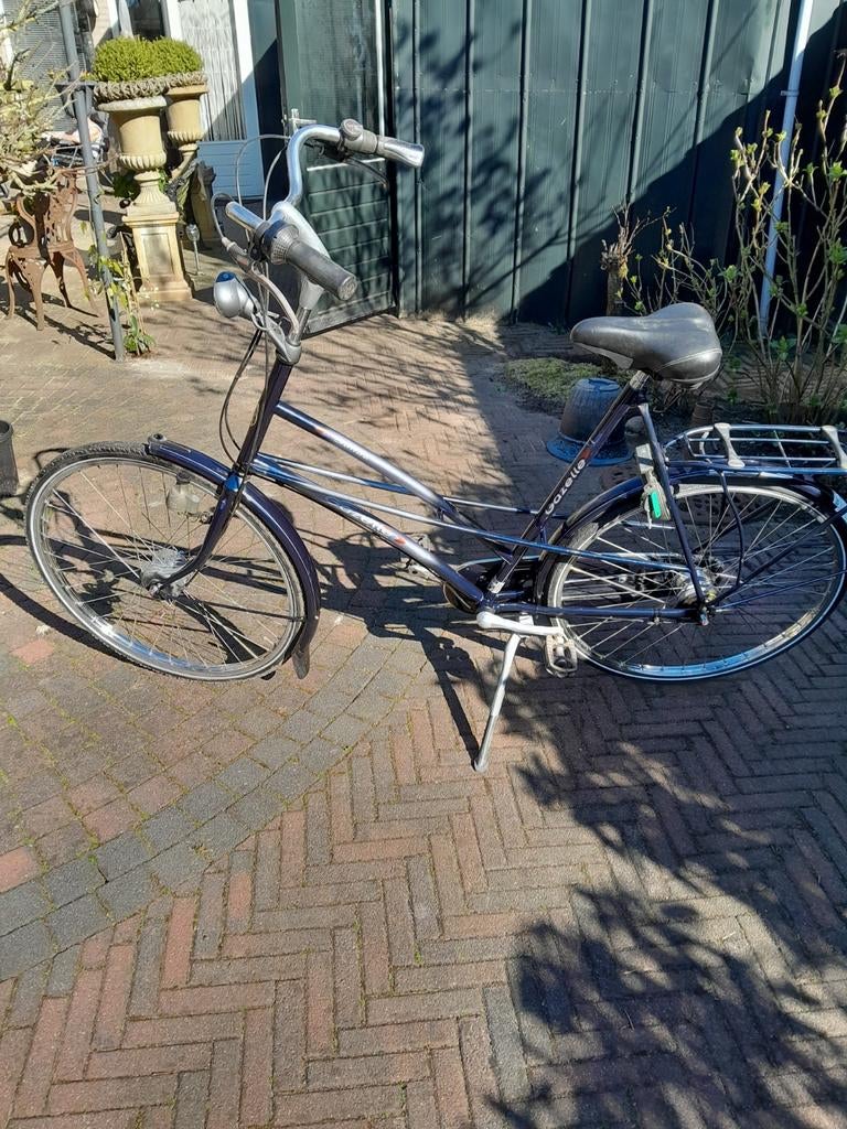 Gazelle solide 65hoog extreem hoog  v, 56 cm of meer, Ophalen, Gebruikt, Gazelle