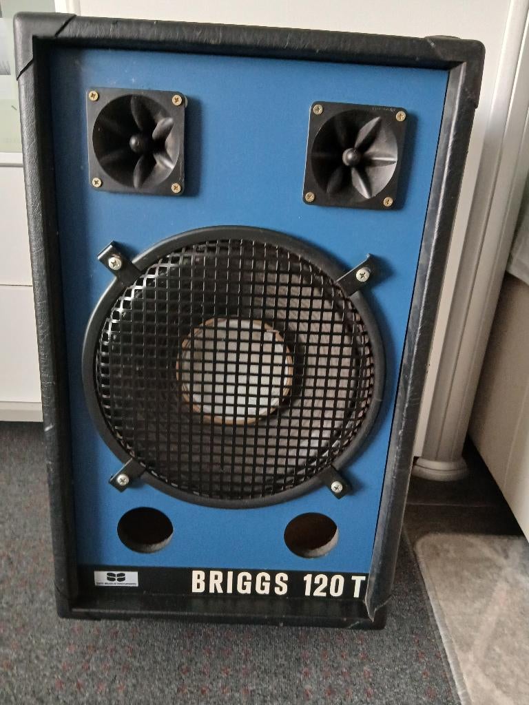 Speakers 2x merk Briggs 12 inch 3 x weg, Audio, Tv en Foto, Luidsprekers, Zo goed als nieuw, 120 watt of meer, Front, Rear of Stereo speakers