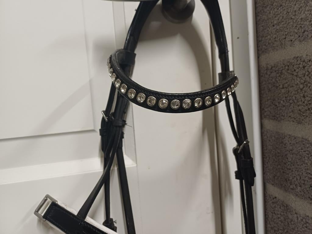 Pony hoofdstel  profi rider, Dieren en Toebehoren, Paarden en Pony's | Hoofdstellen en Tuigage, Ophalen, Zo goed als nieuw