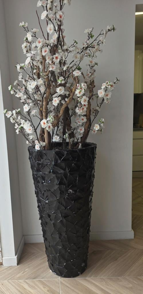 Schelpenvaas 1.80cm, Ophalen