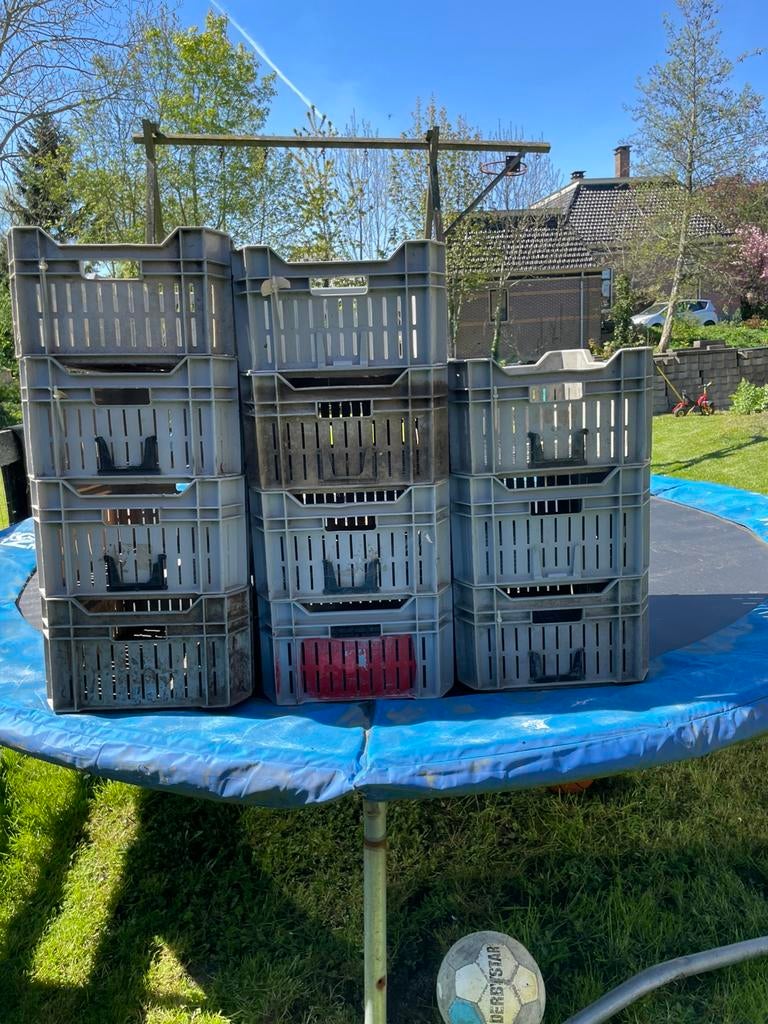 11 plastic veiling kisten, Ophalen, 40 tot 60 cm, 50 tot 75 cm, Minder dan 35 cm