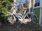 Cortina Transport U4 - mamafiets, Fietsen en Brommers, Gebruikt, 56 cm of meer, Versnellingen, 0 zitjes