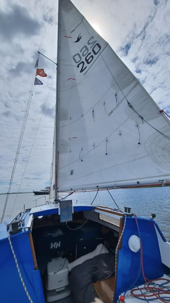 Kolibri 560 zeilboot met trailer en 6PK buitenboordmotor, Ophalen, Gebruikt, Tourjacht of Cruiser, Benzine