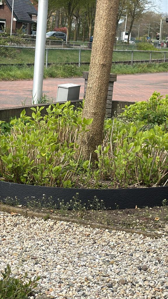 Hortensia Annabelle, Tuin en Terras, Planten | Tuinplanten, Vaste plant, Halfschaduw, Zomer, Ophalen