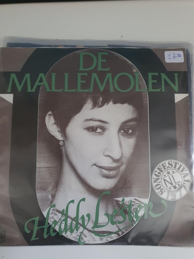 Eurovision Nederland 1977, de Mallemolen, Ophalen of Verzenden, Zo goed als nieuw, Nederlandstalig