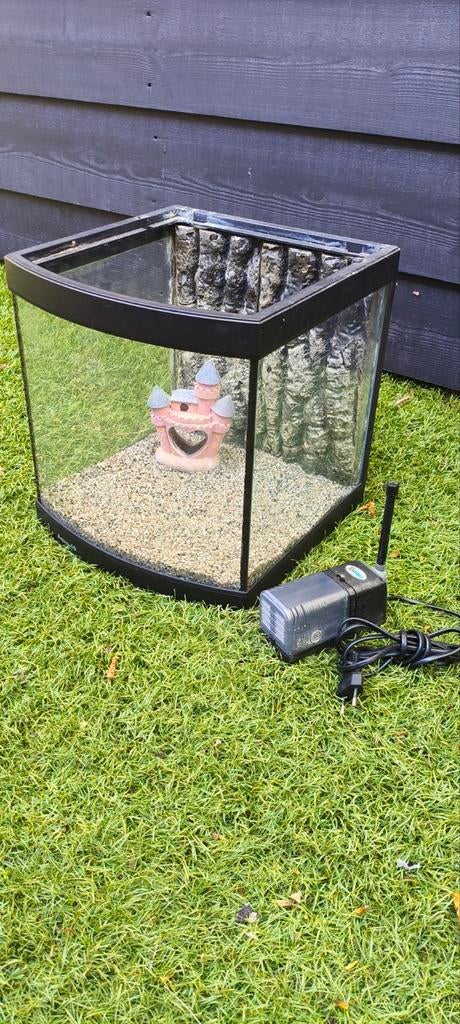 Aquarium, Dieren en Toebehoren, Ophalen, Gebruikt, Overige merken, Inclusief toebehoren