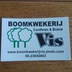 haagconiferen Thuja Brabant 170/180cm, Ophalen, Conifeer, Haag, 100 tot 250 cm