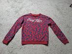 WE trui maat 146/152, Meisje, Trui of Vest, Ophalen of Verzenden, Zo goed als nieuw