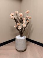 Bloesemboom, Lvkvazen, Nieuw, Info@lvkvazen.com, Ophalen