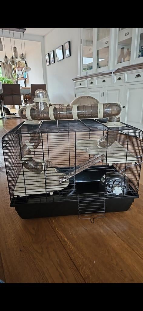 Hamsterkooi, Ophalen, Kooi, Minder dan 60 cm