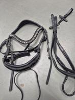 Hoofdstel HB showtime, Dieren en Toebehoren, Paarden en Pony's | Hoofdstellen en Tuigage, Ophalen of Verzenden