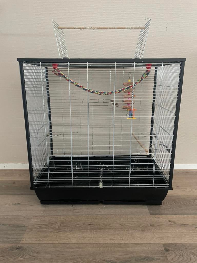 Mooie grote kooi voor kleine vogels met speeltoestel, Dieren en Toebehoren, Ophalen, Gebruikt, Metaal, Vogelkooi