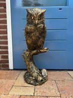 uil (goud/zwart) 70hoog 30breed/Nieuw!, Verzamelen, Beelden en Beeldjes, Ophalen, Nieuw, Dier