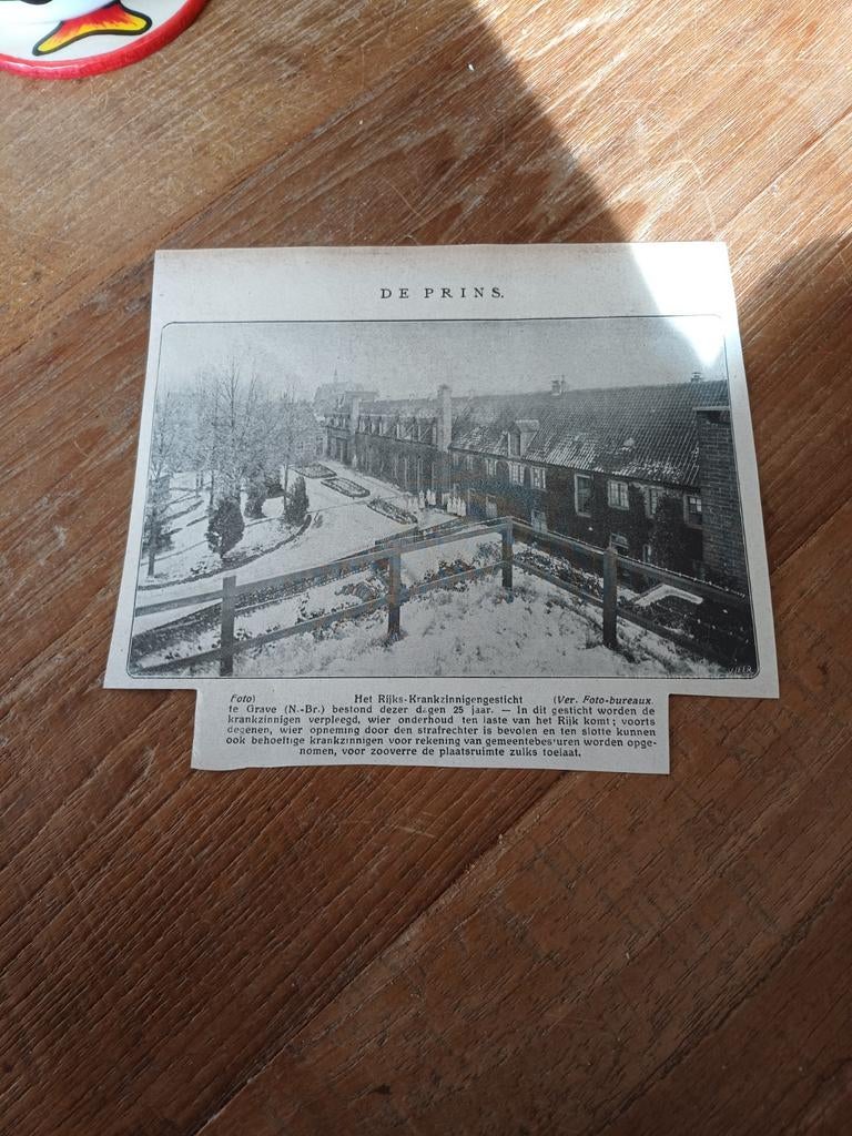 Knipsel krankzinnigengesticht Grave 1923, Verzamelen, Tijdschriften, Kranten en Knipsels, Ophalen of Verzenden, 1920 tot 1940