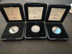 Set van 3 Zilveren Guldens 2001 - Prooflike Kwaliteit, 1 gulden, Setje, Koningin Beatrix, Zilver