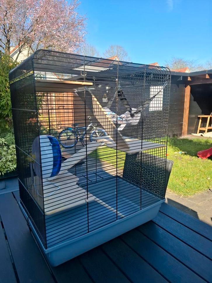 Knaagdieren hok, Dieren en Toebehoren, Knaagdieren en Konijnen | Toebehoren, Gebruikt, Ophalen