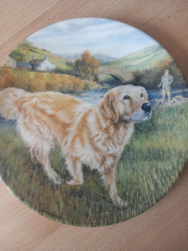 Wandbord Royal Grafton/Golden Retriever, Meerkleurig, Steen/keramiek, Ophalen of Verzenden, Zo goed als nieuw