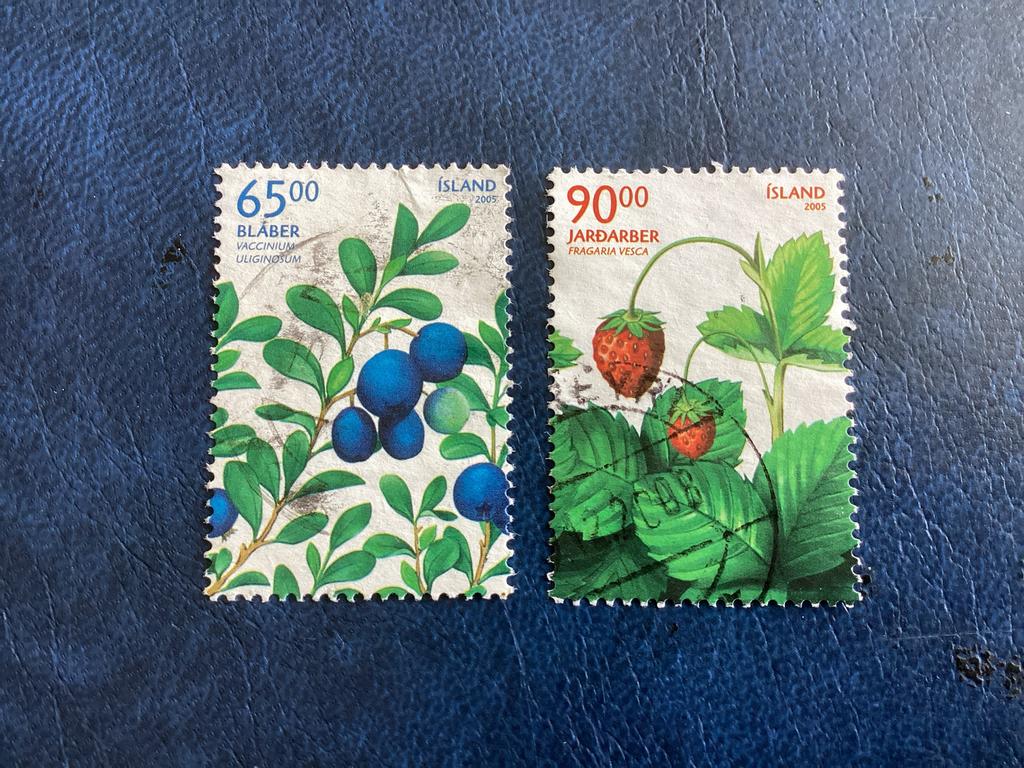 IJsland 2005: Bosbessen en Aardbeien -Mi.1106/07, Ophalen of Verzenden, IJsland, Gestempeld