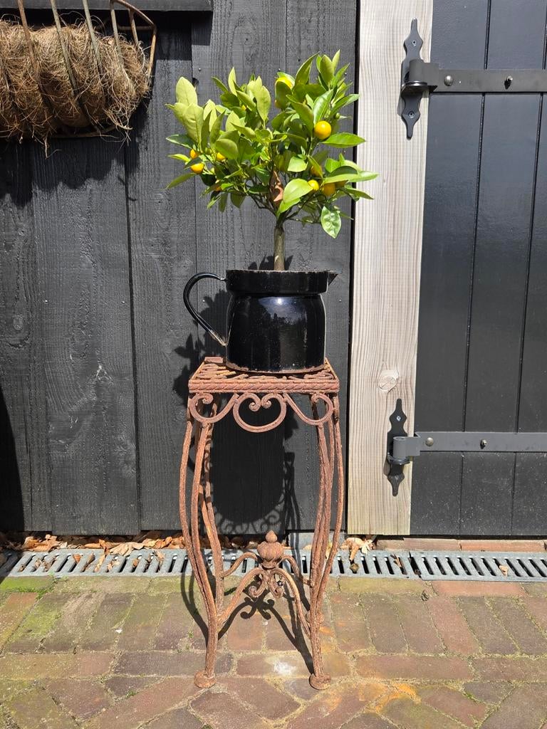 Verroest ijzer plantentafeltje met manderijnboompje, Ophalen, Rond, Metaal, Minder dan 40 cm