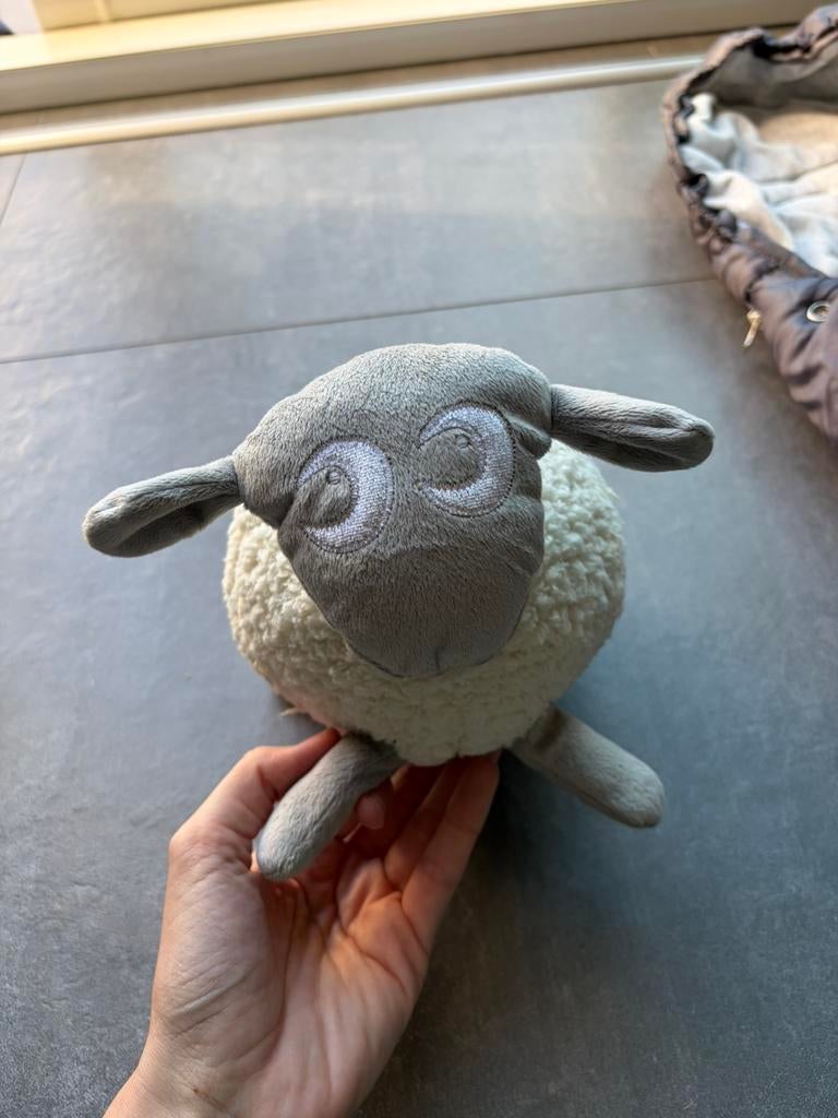 Ewan het droomschaap, Ophalen of Verzenden, Gebruikt, Overige typen