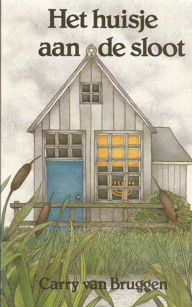 2 boeken van Carry van Bruggen, Boeken, Literatuur, Gelezen, Ophalen of Verzenden