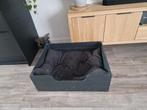 Gratis grote hondenmand, Dieren en Toebehoren, Ophalen, Overige
