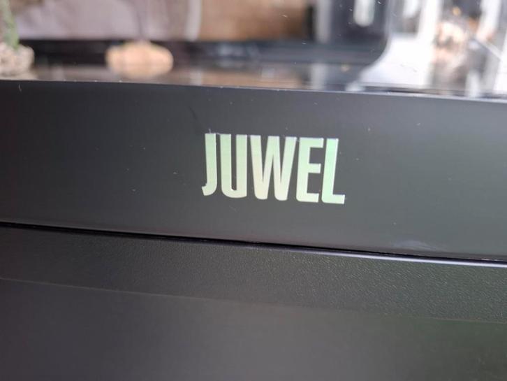 Aquarium Juwel met meubel, verlichting, filter en verwarming, Dieren en Toebehoren, Vissen | Aquaria en Toebehoren, Gebruikt, Leeg aquarium