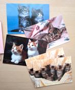 5 Kaarten met katten (nieuw) blanco, Verzenden, Nieuw
