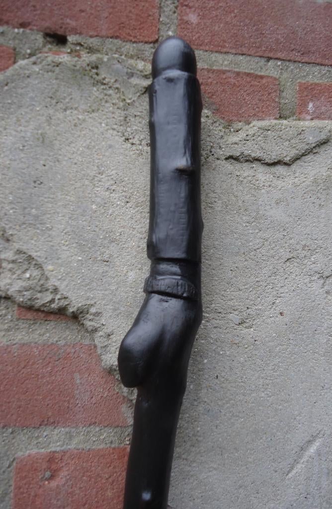 Behoedende WANDELSTOK met GOA verwurgingen - showbaton ( 32), Ophalen of Verzenden, Nieuw, Wandelstok