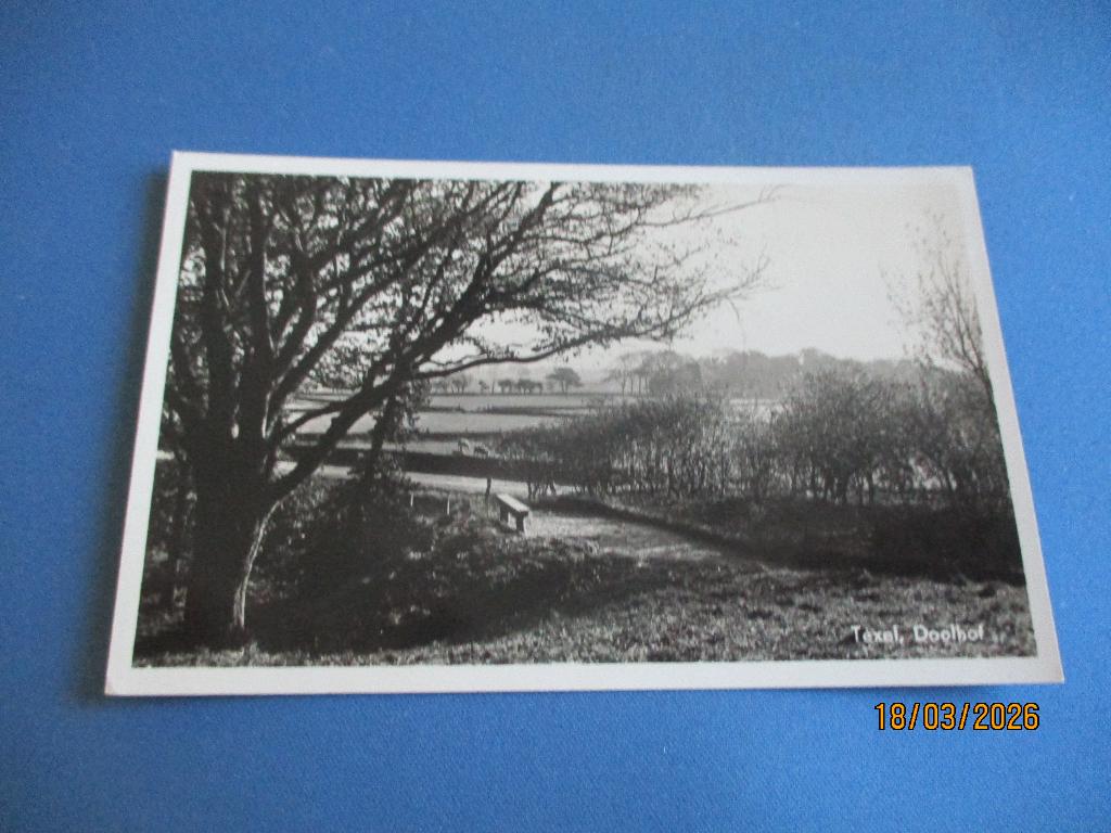 Texel (1951), Ophalen of Verzenden, Voor 1920, Gelopen, Waddeneilanden