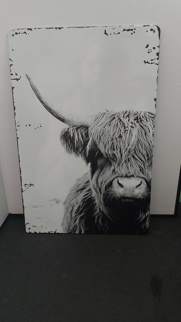 Wanddecoratie Schotse Hooglander - 20x30cm, Metaal, 30 cm, Industrieel, 20 cm