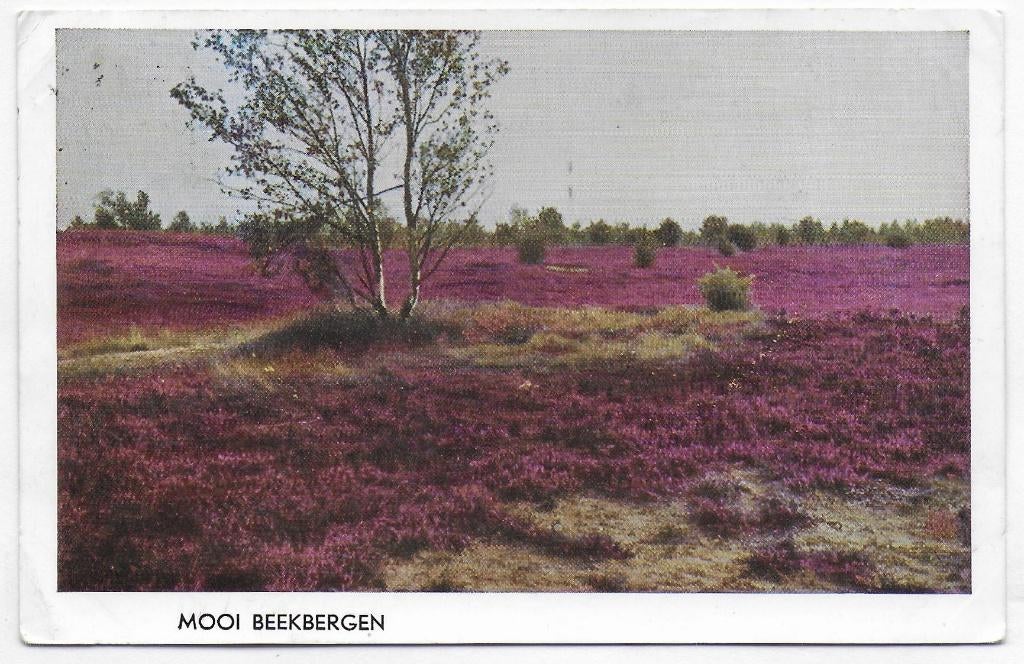 Beekbergen oude gelopen Ansichtkaart ( B3031 ), Ophalen of Verzenden, 1960 tot 1980, Gelopen, Gelderland