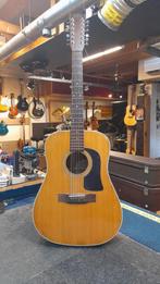 Washburn 12 snarigen gitaar, Ophalen, Gebruikt, Klassieke of Spaanse gitaar, Met koffer