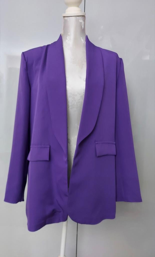 NIEUW PAARSE BLAZER MAAT 44, Kleding | Dames, Paars, Maat 42/44 (L), Nieuw, Ophalen of Verzenden