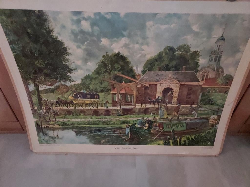 10 X oude SCHOOLPLATEN € 65.-  gehele partij, Ophalen, Natuur en Biologie