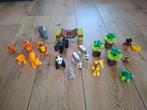 Dierenset Duplo, Ophalen of Verzenden, Zo goed als nieuw, Duplo
