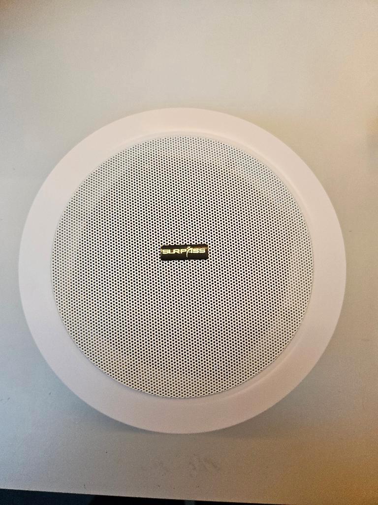 ceiling speaker SP-CR520 per stuk, Audio, Tv en Foto, Luidsprekers, Overige merken, Overige typen, Nieuw, Ophalen of Verzenden