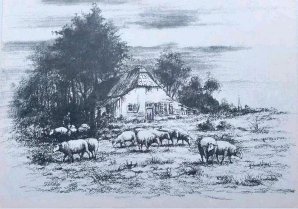 Hub van Winkel  ... origineel gesigneerde tekening  ..., Antiek en Kunst, Ophalen of Verzenden