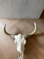 Muur decoratie buffel schedel, Ophalen, Zo goed als nieuw, Schedel