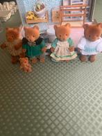 Vintage koffertje ingericht met Sylvanian berenfamile, Ophalen of Verzenden, Zo goed als nieuw, Poppenhuis