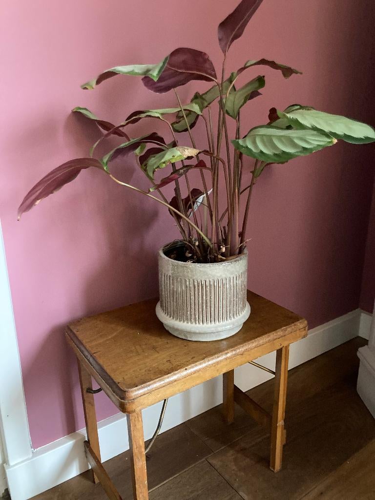 Hele leuke bijzettafeltjes Torck, Ophalen, Minder dan 45 cm, Minder dan 55 cm, Vintage