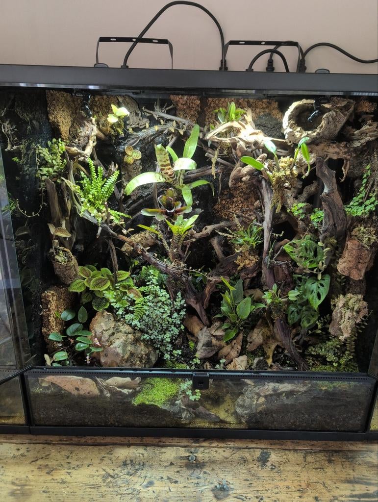 Paludarium, Ophalen, Nieuw, Terrarium of Paludarium