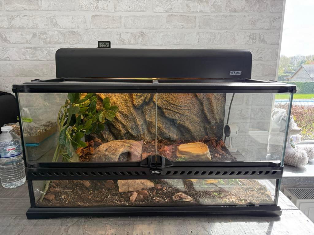 Exo Terra Glas Terrarium - 60x45x30 cm, Ophalen, Zo goed als nieuw, Terrarium of Paludarium