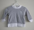 wit zwart gestreept  maat 62, Kinderen en Baby's, Babykleding | Maat 62, Ophalen of Verzenden, Meisje, Truitje of Vestje