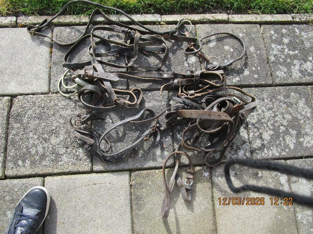paardentuigage antiek, Dieren en Toebehoren, Paarden en Pony's | Hoofdstellen en Tuigage, Ophalen of Verzenden, Gebruikt, Overige soorten