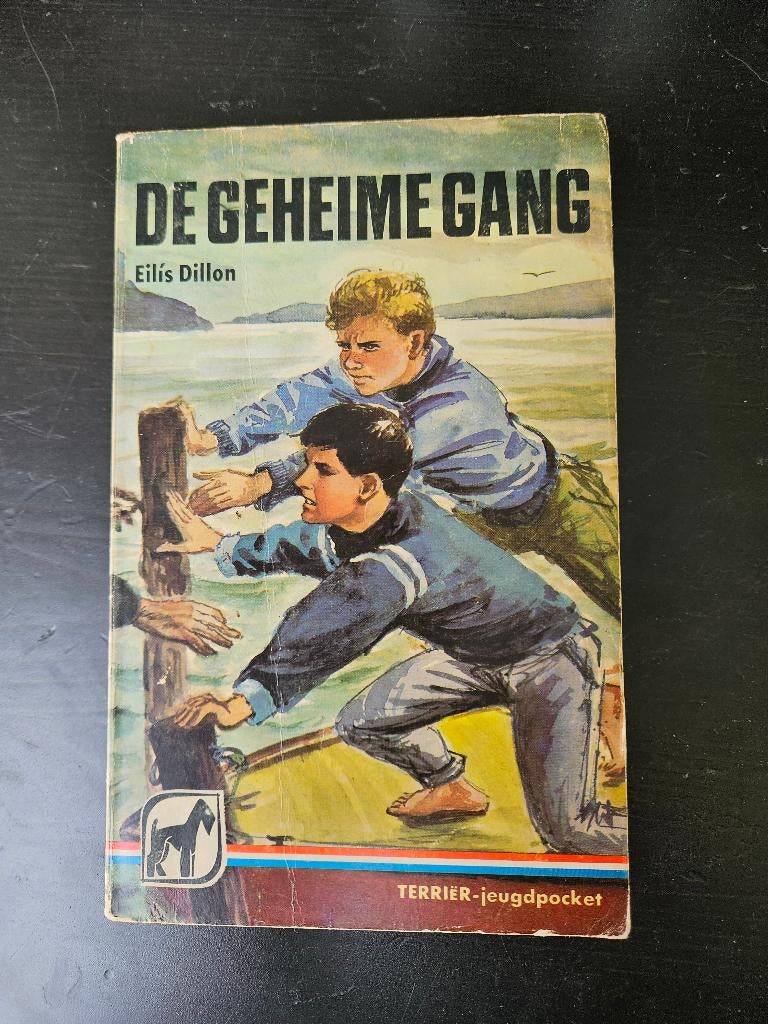 Eilis Dillon - de geheime gang, Ophalen of Verzenden, Gelezen